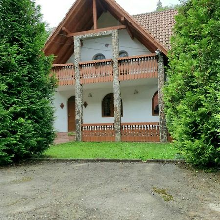 Vila Luca'S Cîrţişoara المظهر الخارجي الصورة