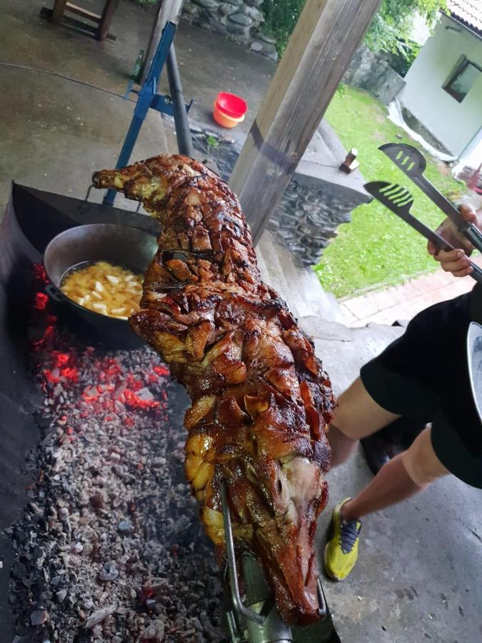 Vila Luca'S Cîrţişoara المظهر الخارجي الصورة